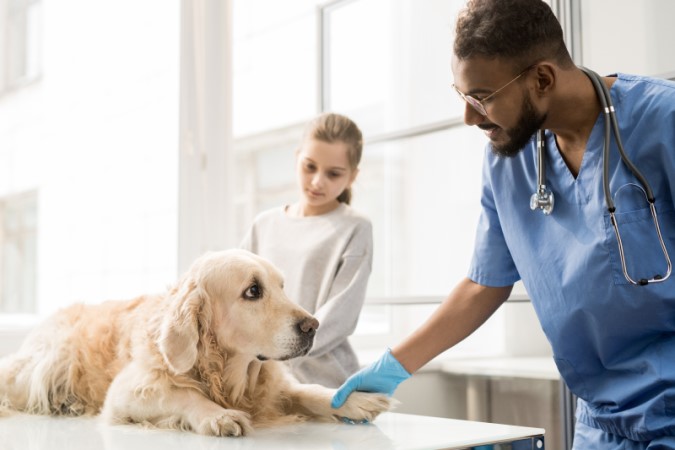 Veterinarians
veterinarians around me
veterinarians at court square
veterinarians act
veterinarians albany ny
veterinarians average salary
veterinarians around my area
veterinarians accepting new patients
veterinarians albuquerque
veterinarians near me