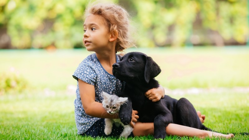 why is it good for a child to have a dog